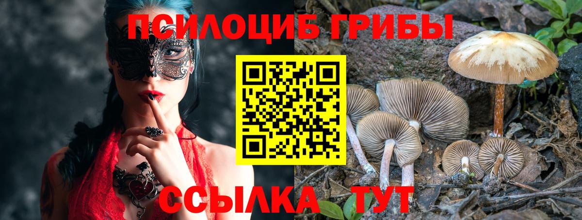 Галлюциногенные грибы прущие грибы Кисловодск